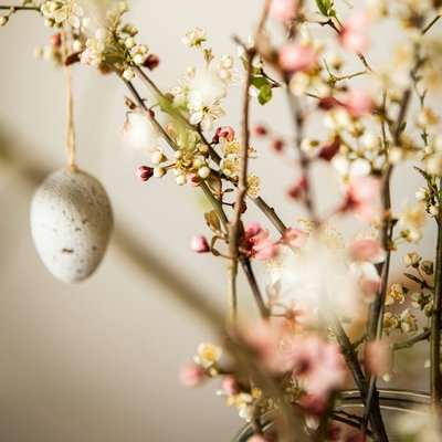 Das Hotel Karlwirt: herzlich willkommen! Zweig mit Frühlingsblüten und aufgehängtem Osterei vor hellem Hintergrund