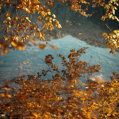 Das Hotel Karlwirt: herzlich willkommen! Herbstliche goldene Blätter über einem ruhigen See mit Sicht auf Wasser und Laub