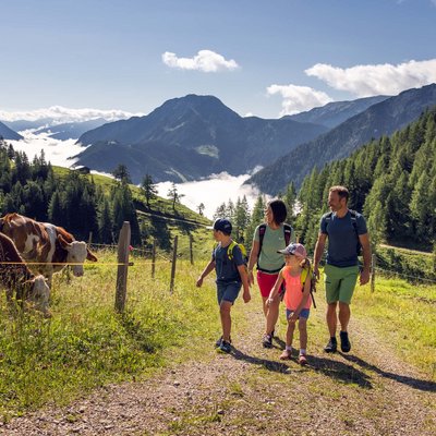 Das Hotel Karlwirt: herzlich willkommen! Familie wandert auf Bergweg neben Weide mit Kühen in sonniger Alpenlandschaft
