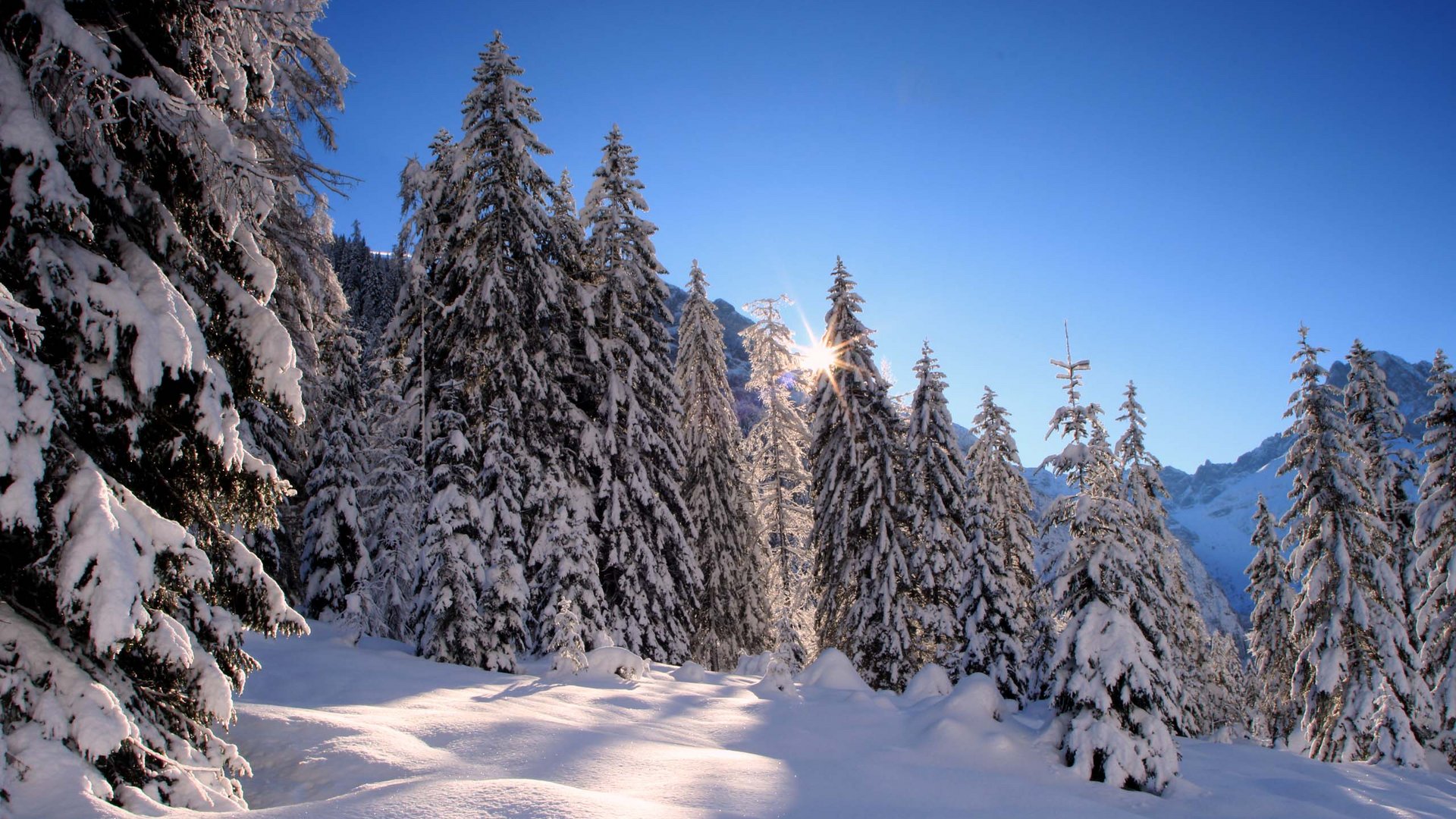 Das Hotel Karlwirt: herzlich willkommen! Winterlicher Wald mit schneebedeckten Tannen und Sonnenstrahlen am blauen Himmel