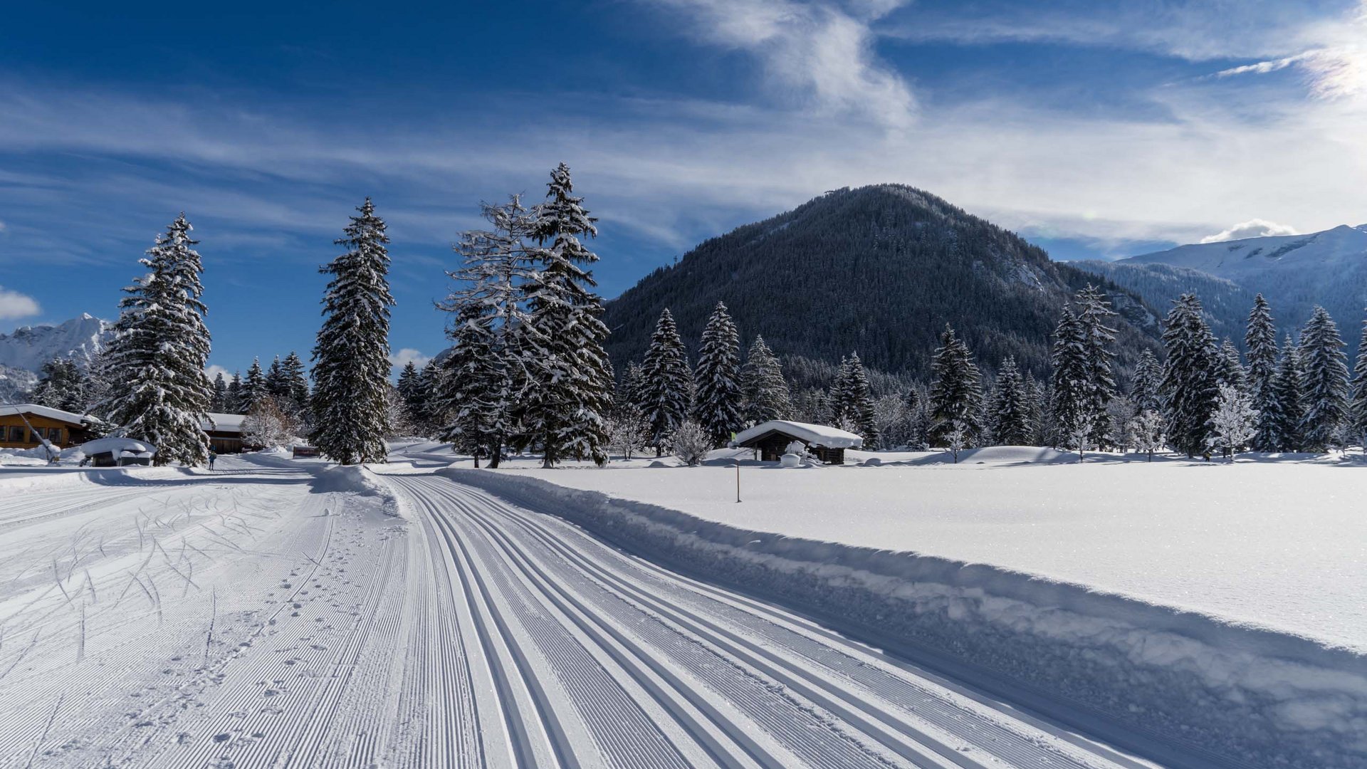 Skiing at Lake Achensee and more Groomed cross-country ski trail in snowy mountain forest under clear sky