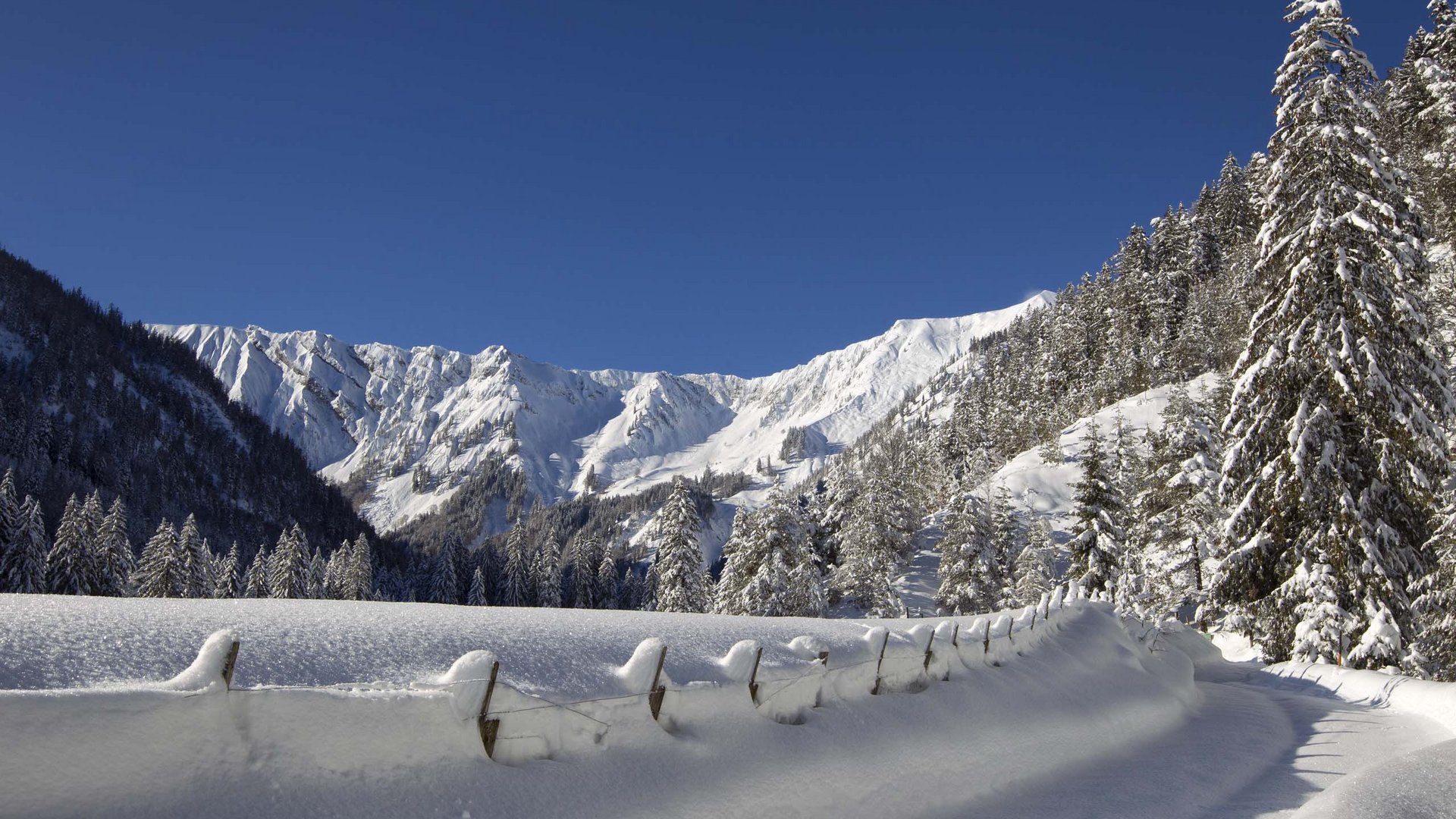 Skiing at Lake Achensee and more Snow-covered road and trees in the mountains under clear sky